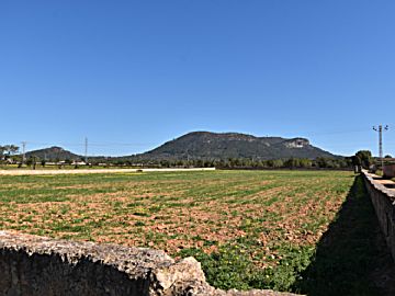 Imagen 1 Venta de terreno en Llucmajor (Pueblo)