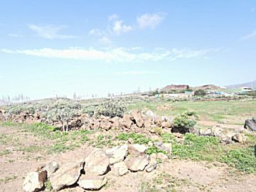  Alquiler de terrenos en Cho-Guargacho-Guaza (Arona)