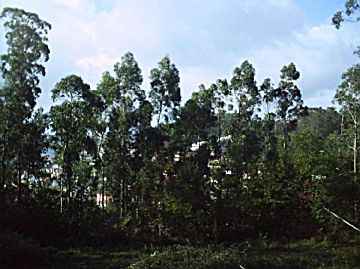 Imagen 1 Venta de terrenos en Lavadores (Vigo)
