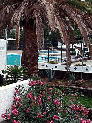 Imagen 1 Venta de estudio con piscina en Las Galletas-Costa del Silencio (Arona)
