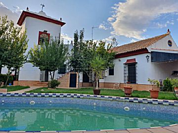 20190911_193220.jpg Venta de casa con piscina y terraza en Espartinas, ZONA RESIDENCIAL MUY TRANQUILA