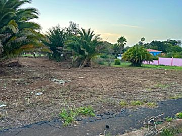 IMG_2726.jpg Venta de terrenos en Guamasa (San Cristóbal de la Laguna), GUAMASA