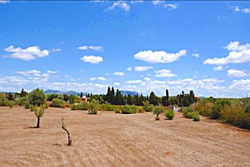 Foto Venta de terreno en Llucmajor (Pueblo), Llucmajor (Campo)
