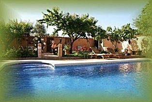 Piscina privada  Alquiler de casa con piscina y terraza en Almagro, crt.Almagro/Valdepeas, K.1.800