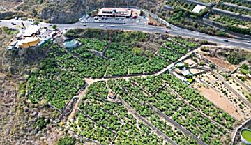 Foto Venta de terreno en La Guancha , Santa Catalina