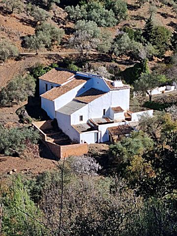 Imagen 1 Venta de terreno en Este-Morlaco-Pedregalejo-C. Calderón-El Palo (Málaga)
