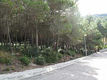 Foto Venta de terreno en Olesa de Bonesvalls, Can olivella