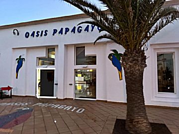 Foto ingresso papagajo.jpg Venta de piso con piscina y terraza en Corralejo (La Oliva), Oasis Papagayo